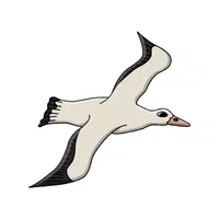 Albatross