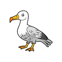 Albatross