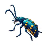 Blisterbeetle