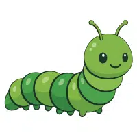 Caterpillar | Desert Insects Names