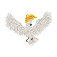 Cockatoo
