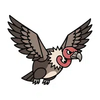 Condor