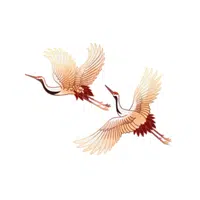 Crane