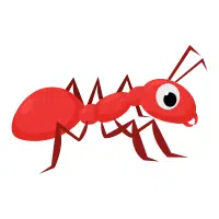 Crawler