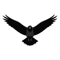 Crow