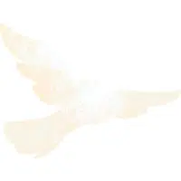 Diamonddove