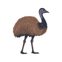 Emu