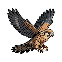 Falcon