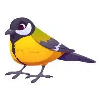 Finch