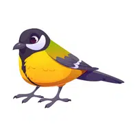 Finch
