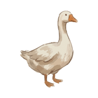 Goose