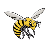 Hornet | Garden Insects Names