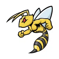 Hornet | Desert Insects Names