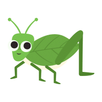 Katydid | Large Insects Names