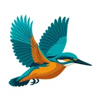 Kingfisher | Flying Birds Names