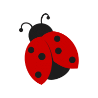 Ladybug | Garden Insects Names
