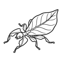 Leaf | Large Insects Names