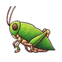 Leafkaty | Large Insects Names