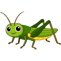 Locust | Desert Insects Names