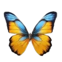 Longwing | Large Insects Names