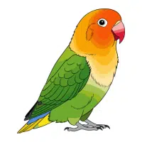 Lovebird | Pet Birds Names