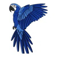 Macaw | Pet Birds Names