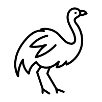 Magellanic | Flightless Birds Names