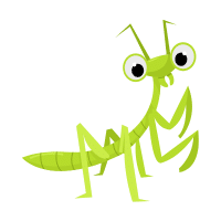 Mantis | Large Insects Names