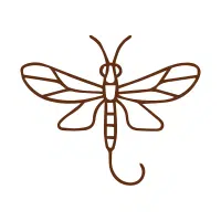 Mayfly | Water Insects Names
