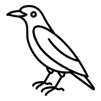 Mynah | Pet Birds Names