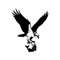 Osprey | Flying Birds Names