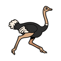 Ostrich | Flightless Birds Names