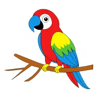 Parrot | Pet Birds Names