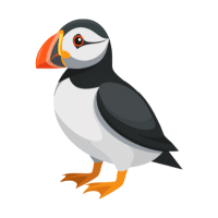 Puffin | Water Birds Names