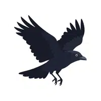 Raven | Flying Birds Names