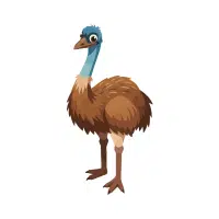 Rhea | Flightless Birds Names