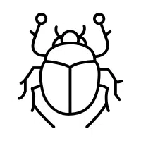 Scarab | Desert Insects Names