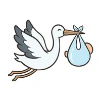 Stork | Flying Birds Names