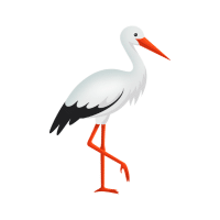 Stork | Water Birds Names