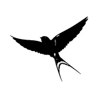Swift | Flying Birds Names