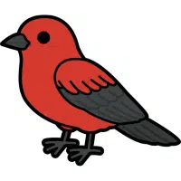 Tanager | Pet Birds Names