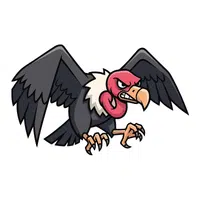 Vulture | Flying Birds Names