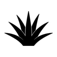 Agave