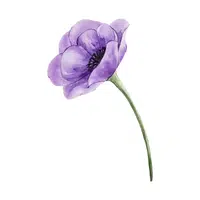 Anemone