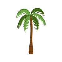 Areca Palm