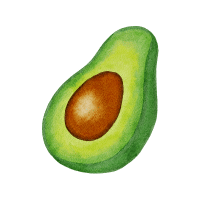 Avocado