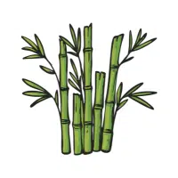 Bamboo