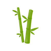 Bamboo