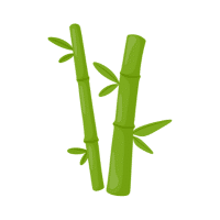 Bamboo