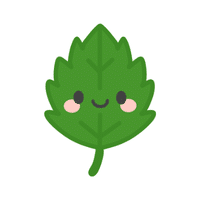 Birch